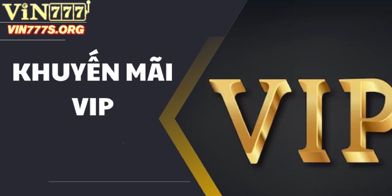 Tìm hiểu chung về VIP VIN77